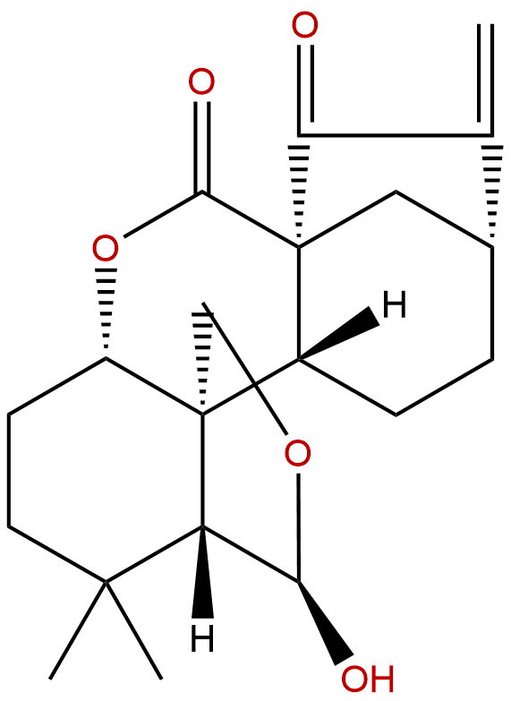 Isodocarpin