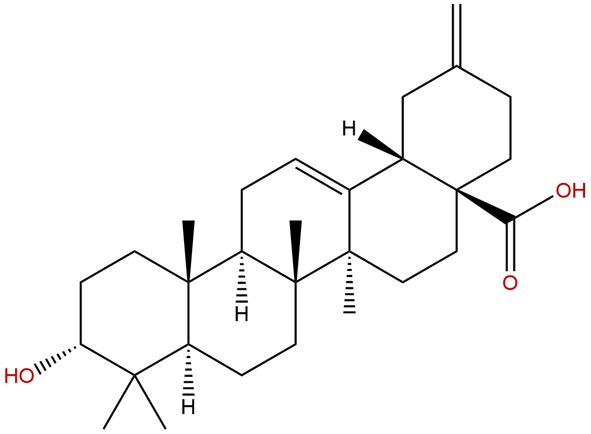 3-Epiakebonoic acid