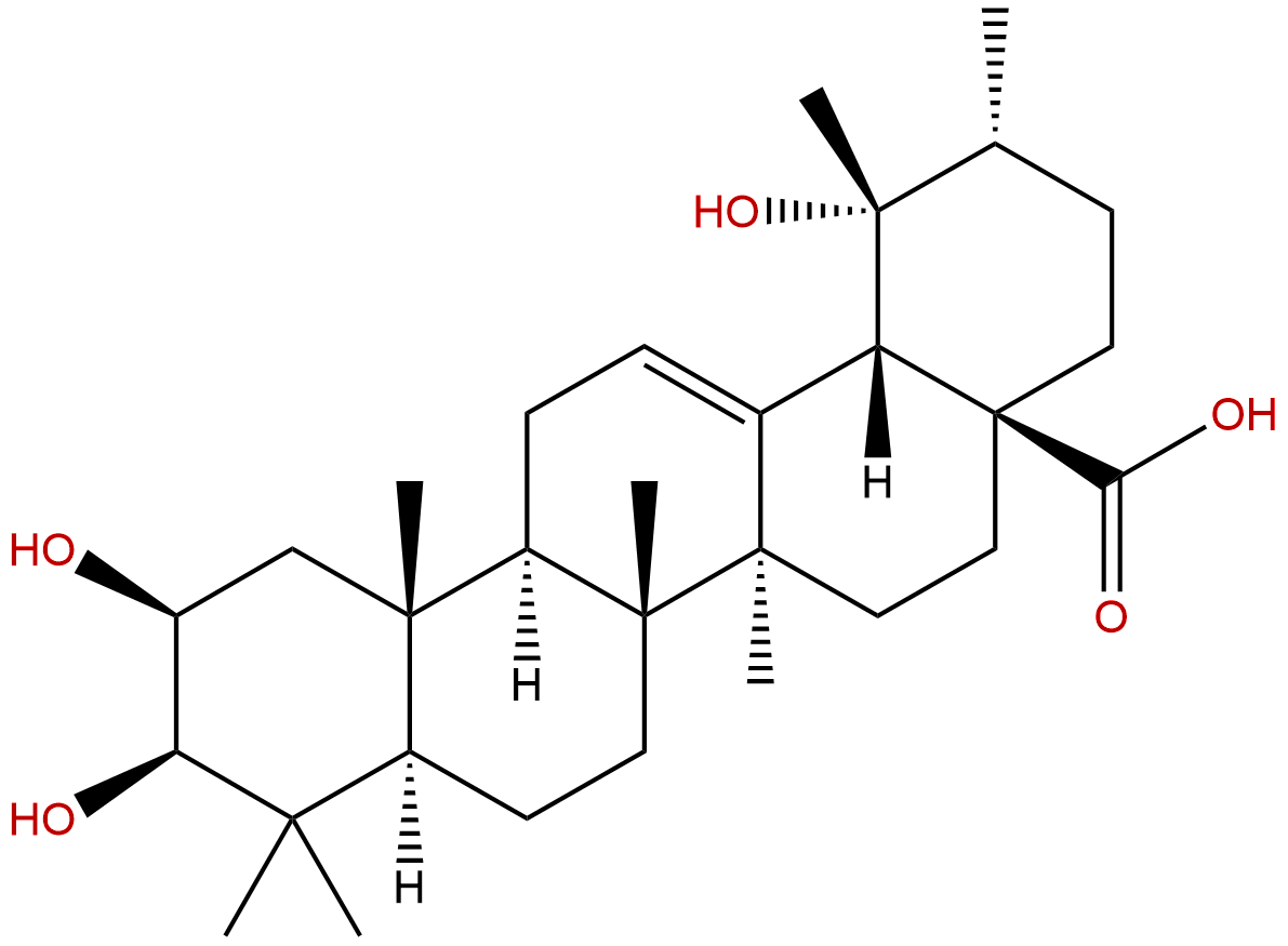 2-Epitormentic acid