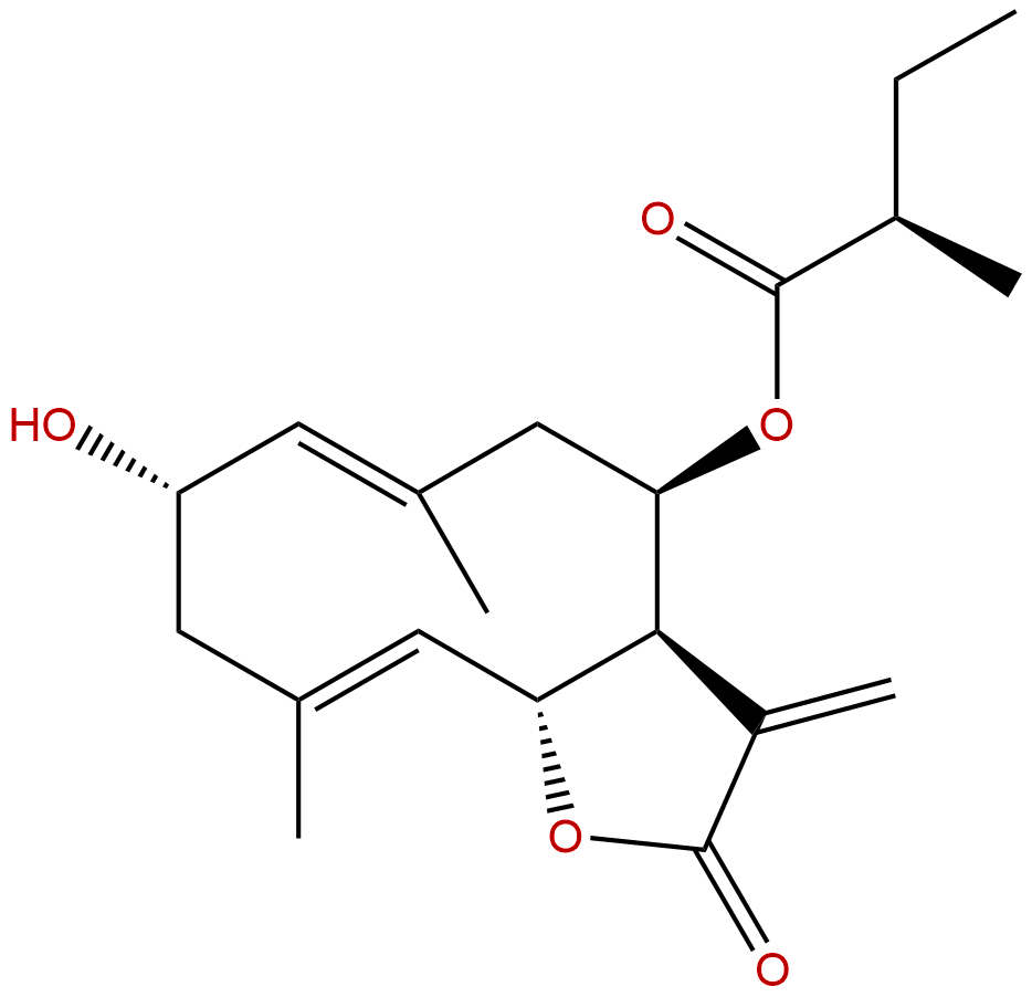 2α-Hydroxy-8β-(2-methylbutyryloxy)costunolide