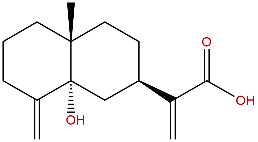 5α-Hydroxycostic acid