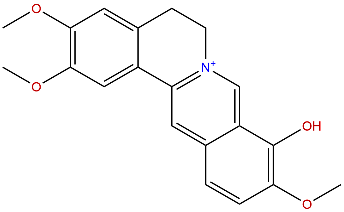 Palmatrubine