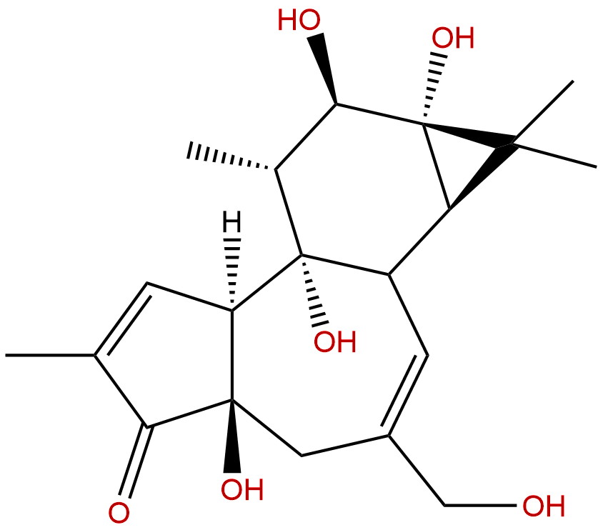 Phorbol