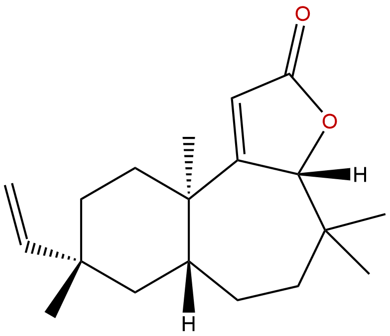Fischeria A