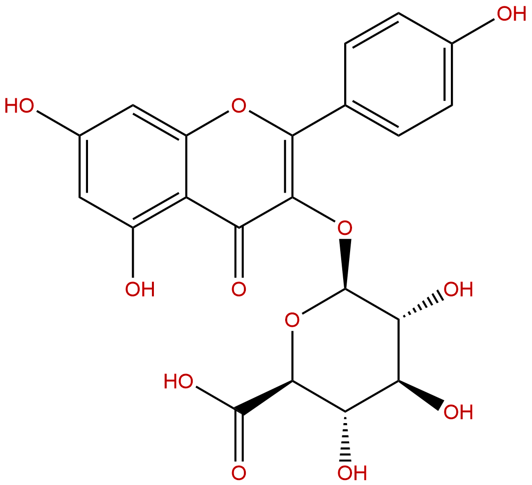 Kaempferol 3-glucuronide