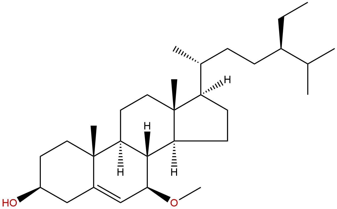 Schleicheol 1