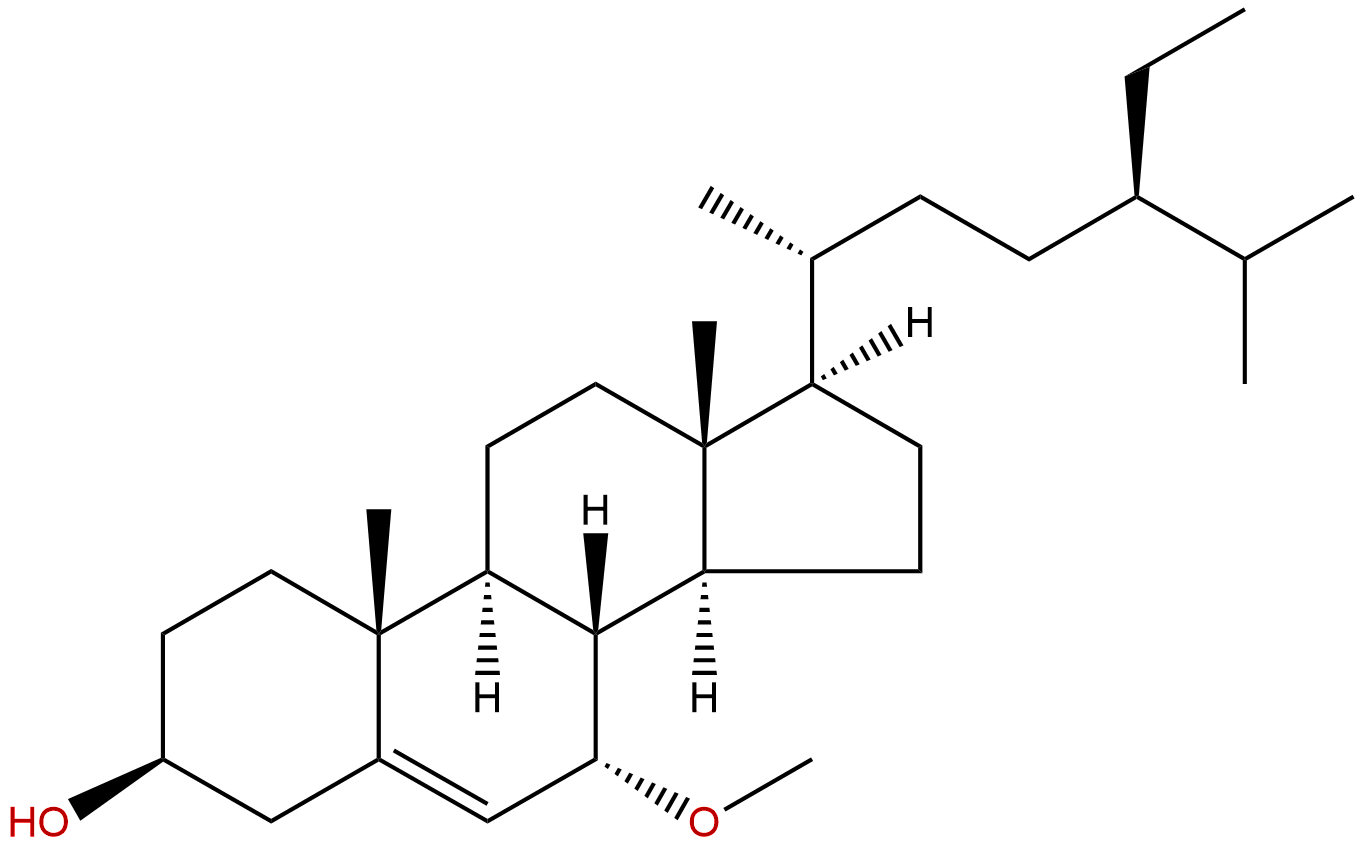 Schleicheol 2