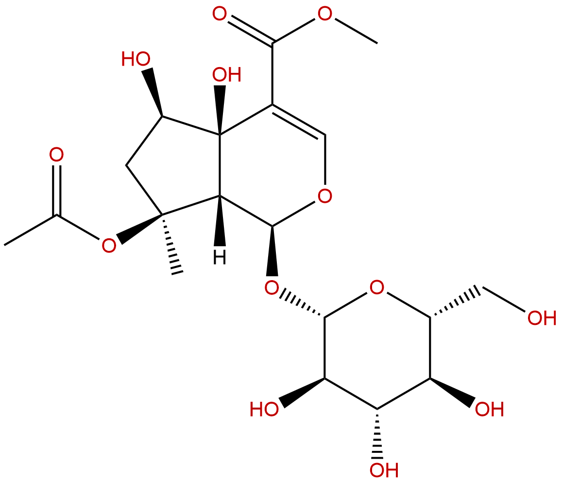 Phlorigidoside B