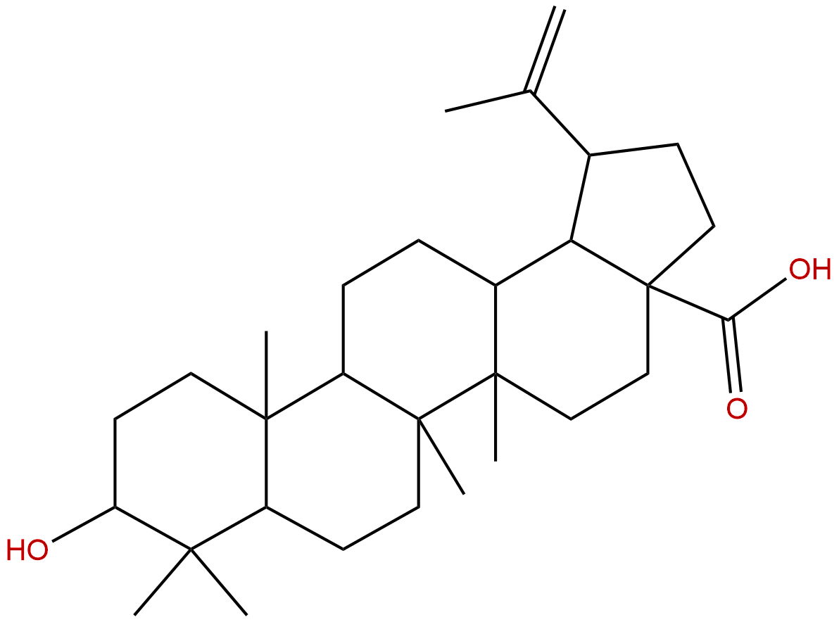 3-Epibetulinic acid