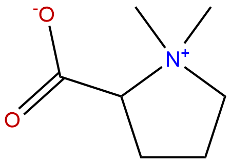 Stachydrine