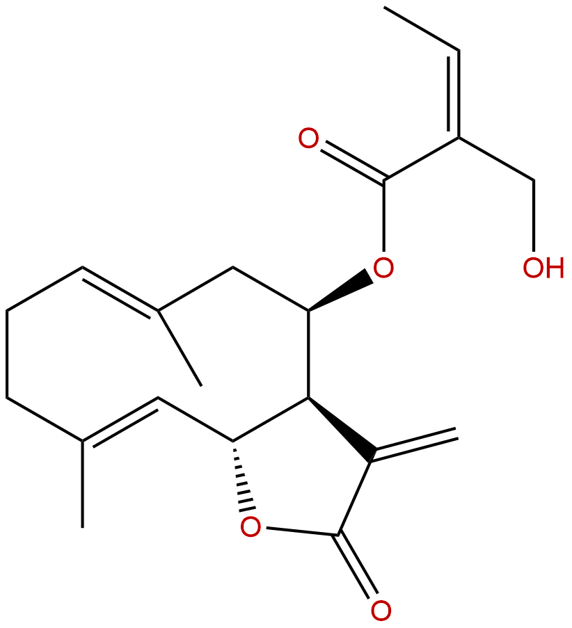 Eupaglehnin C