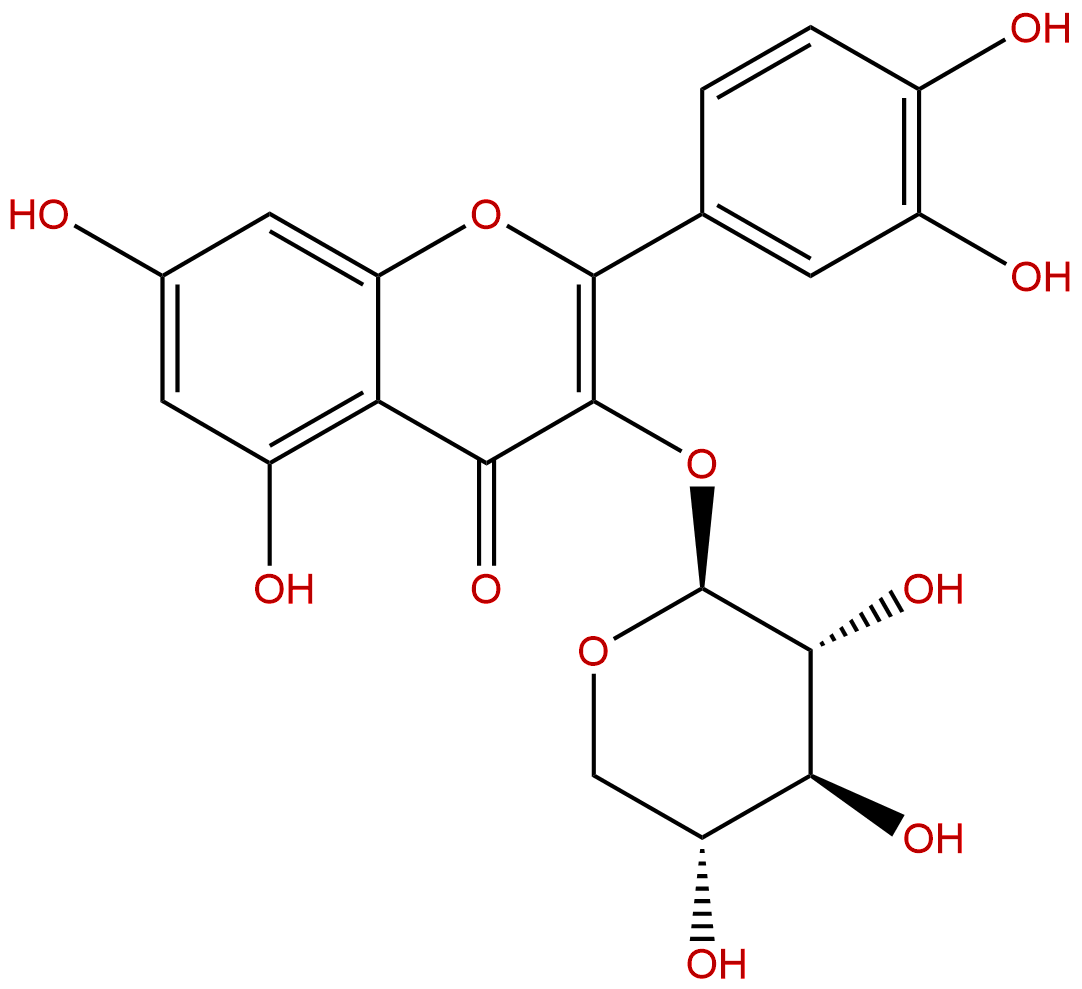 Quercetin 3-O-β-D-xylopyranoside