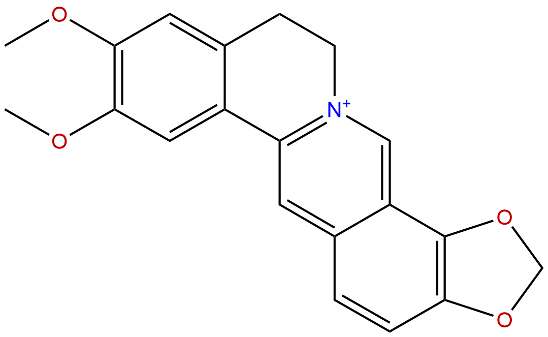 Epiberberine