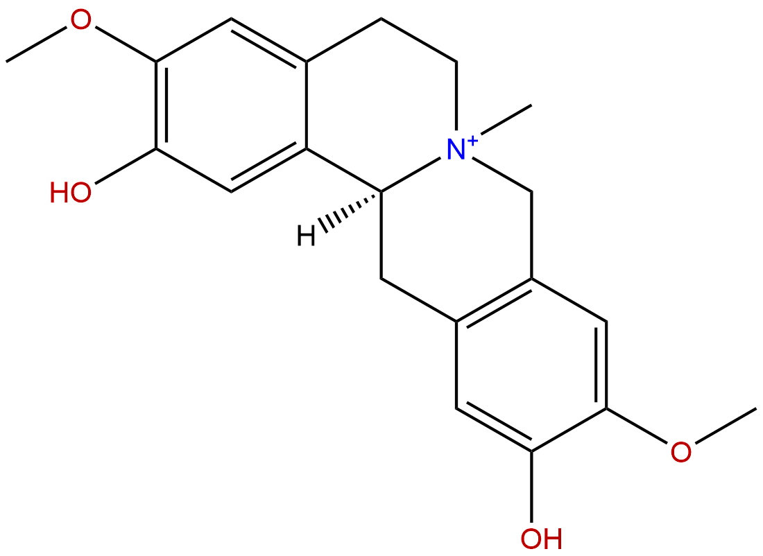 Phellodendrine