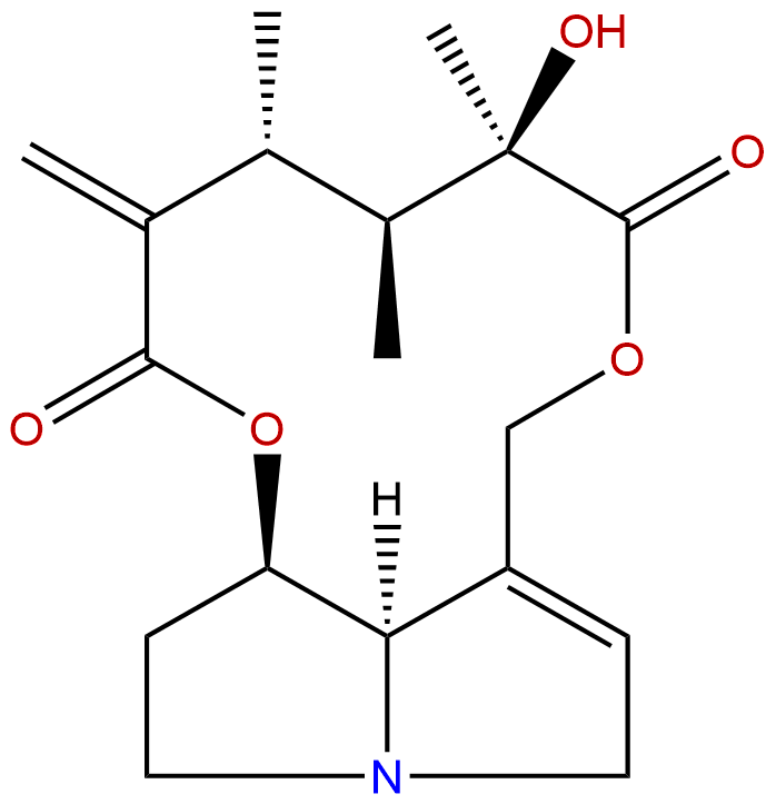 Senecivernine
