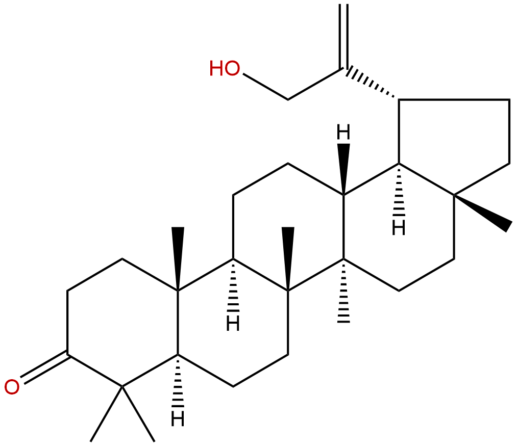 30-Hydroxylup-20(29)-en-3-one
