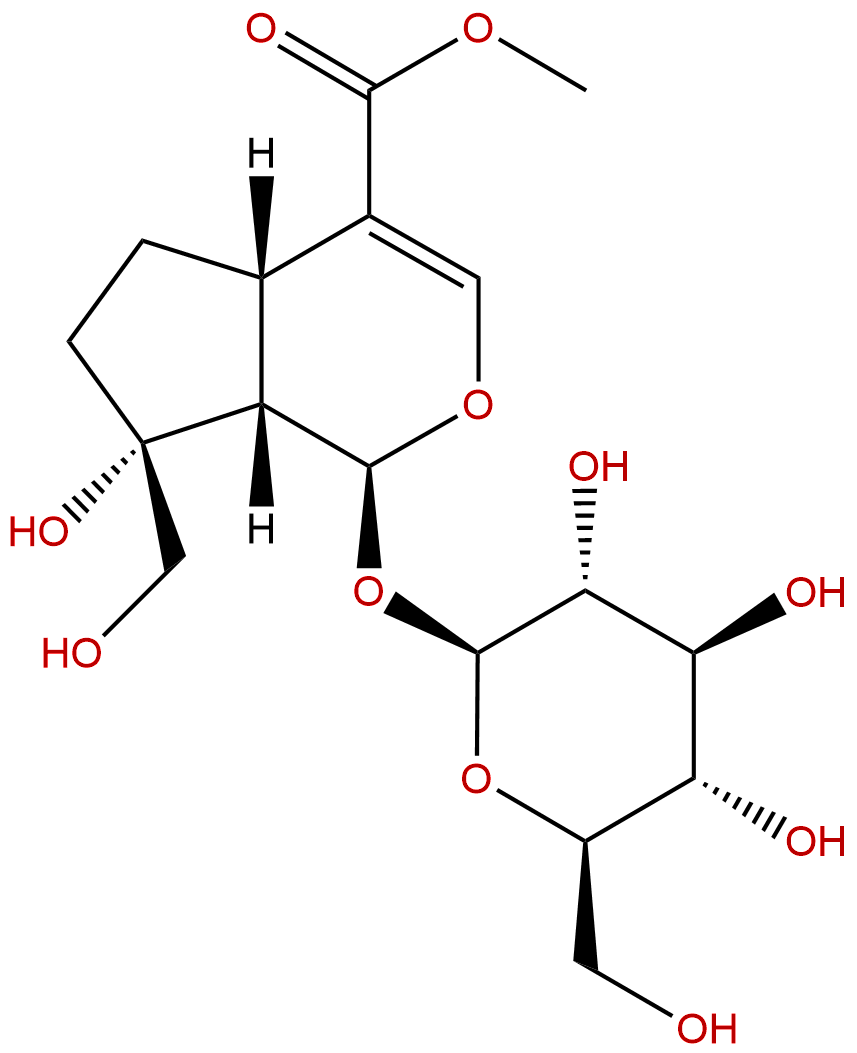 Splendoside