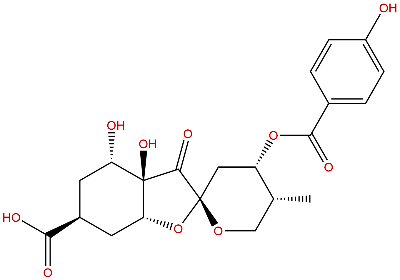Glochicoccin D