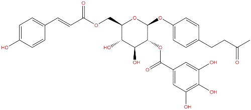 4-(3-oxobutyl)phenyl 6-O-[(2E)-3-(4-hydroxyphenyl)prop-2-enoyl]-2-O-(3,4,5-trihydroxybenzoyl)-β-D-glucopyranoside