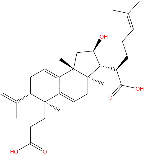 Poricoic acid B