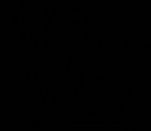 Pramlintide Acetate