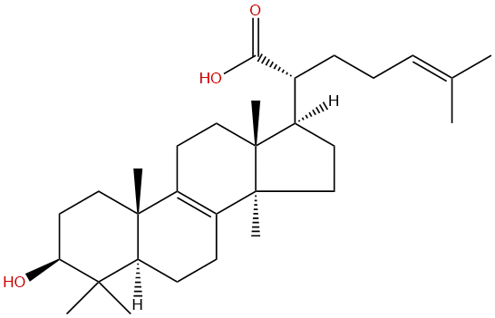 Trametenolic acid