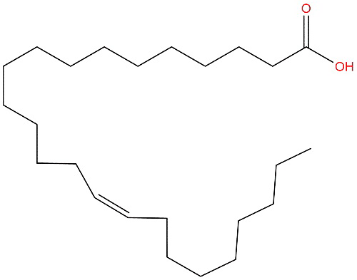 Nervonic Acid