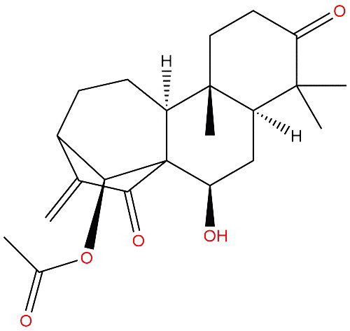 Glaucocalyxin B