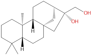ent-kauran-16β，17-diol