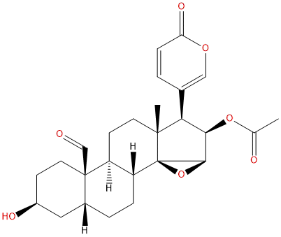 19-Oxocinobufagin