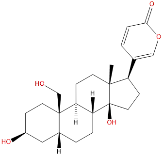 19-Hydroxybufalin