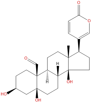 Bufotalidin