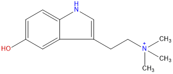 Bufoteninium