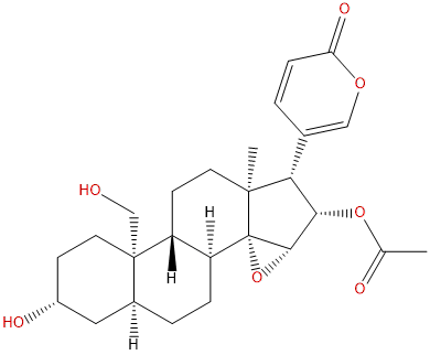 Cinobufaginol