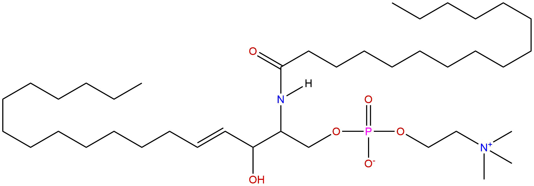 Sphingomyelin