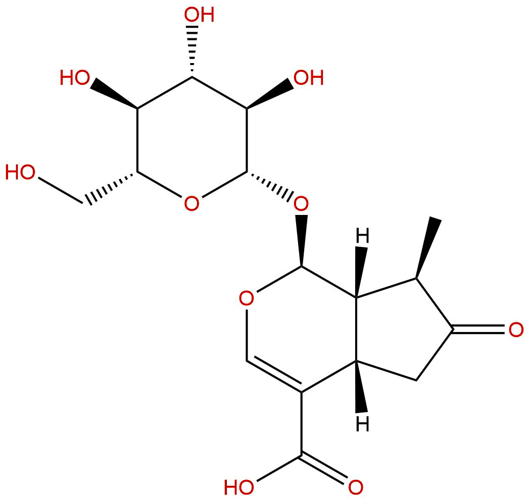 7-keto-Loganic acid
