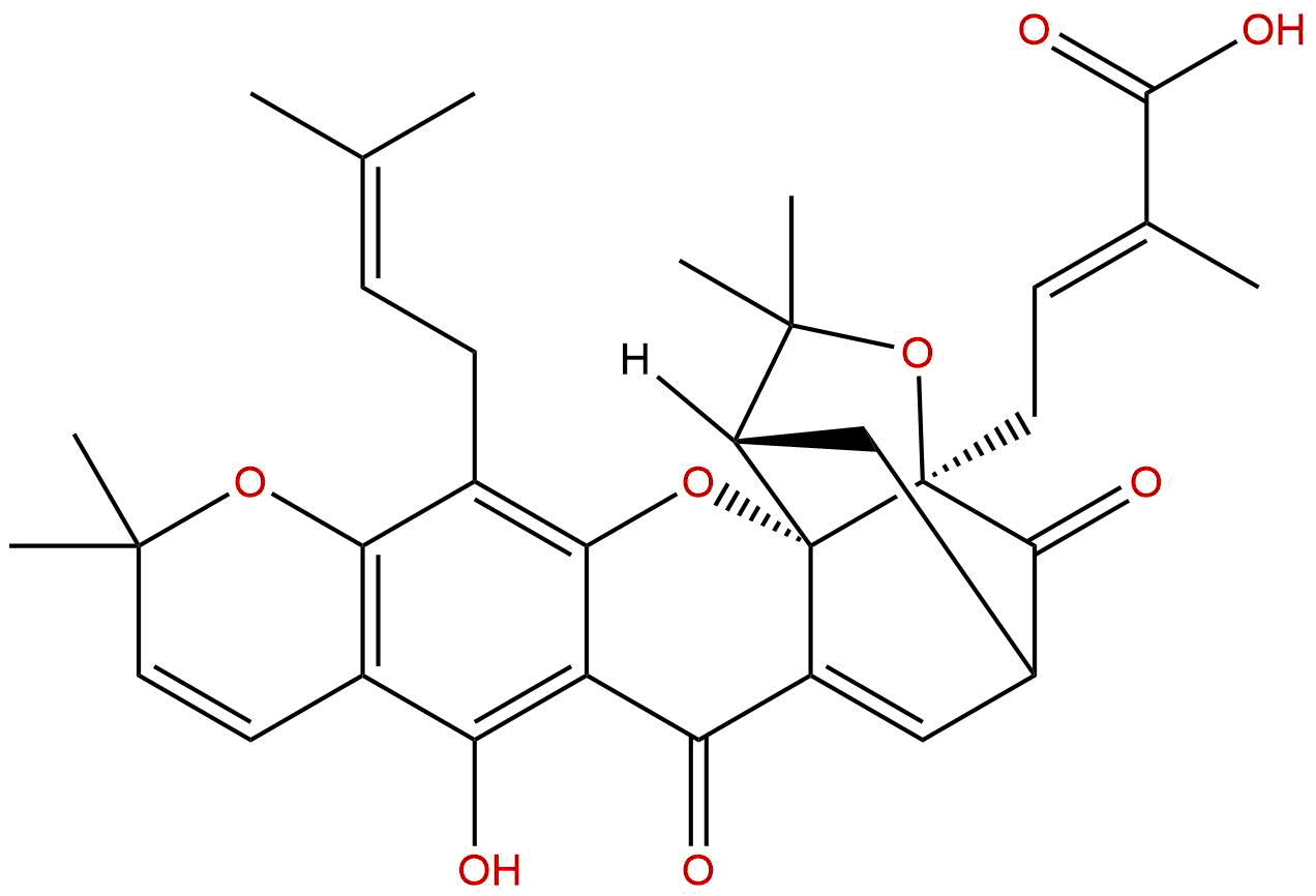 Isomorellic acid