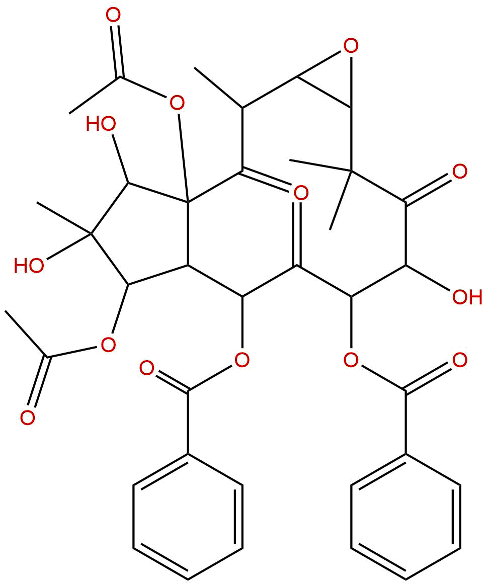 Kansuinin B