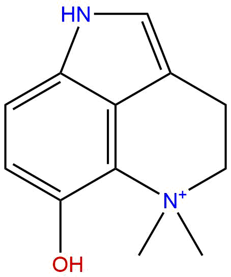 Dehydrobufotenine