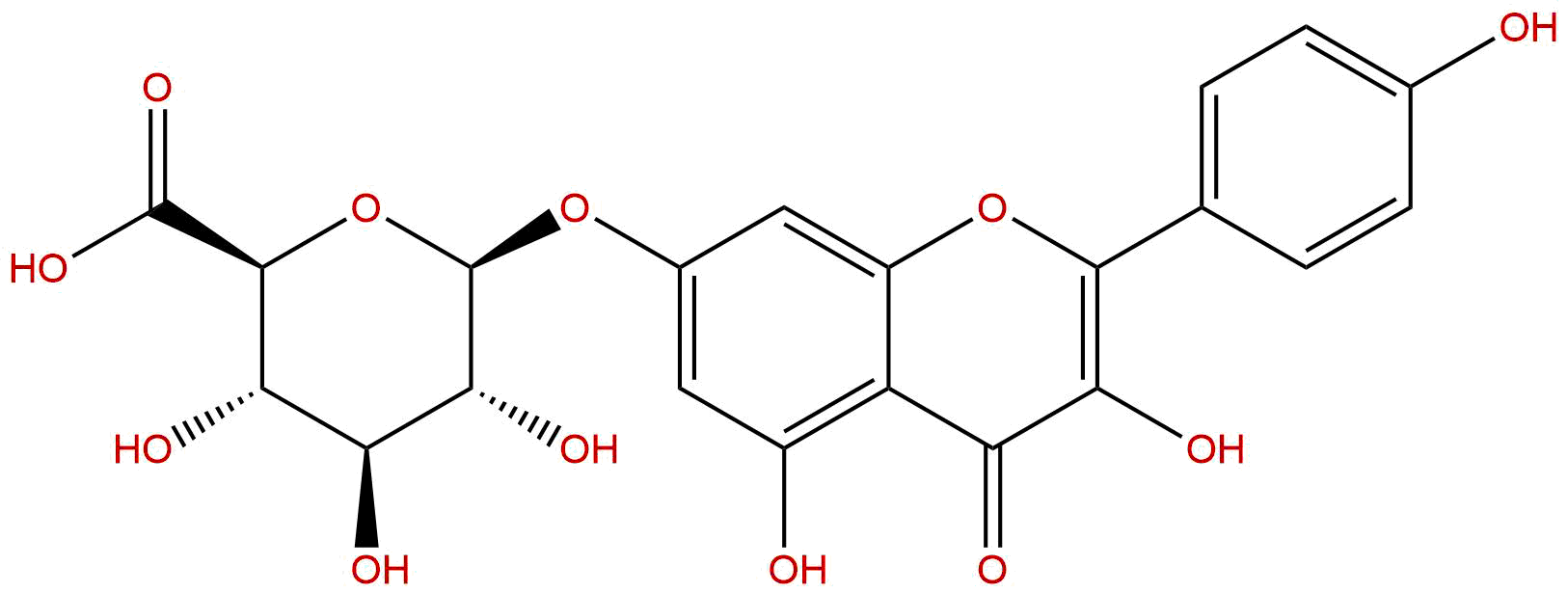 Kaempferol 7-glucuronide