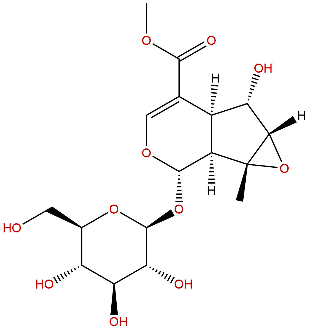 Phlorigidoside C