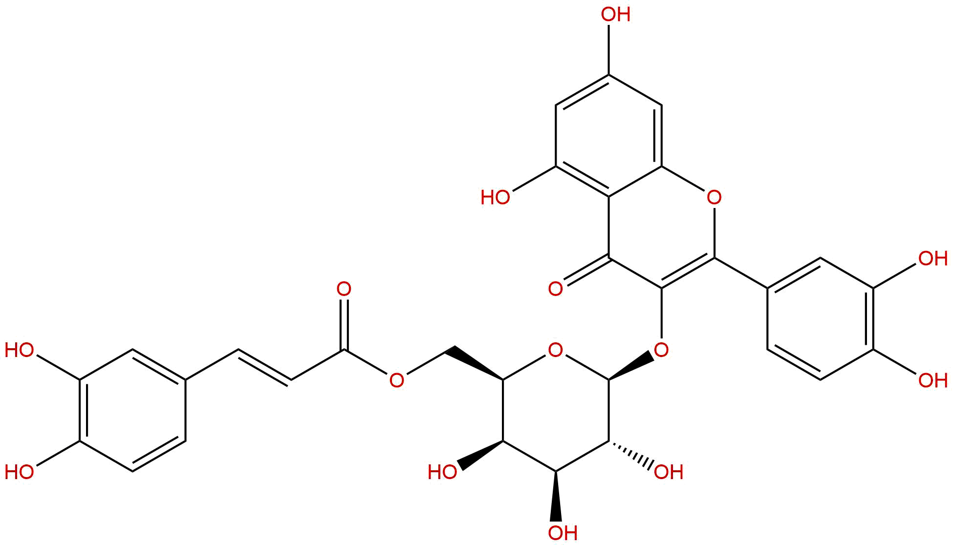 Quercetin 3-O-(6''-caffeoyl)-β-D-galactopyranoside