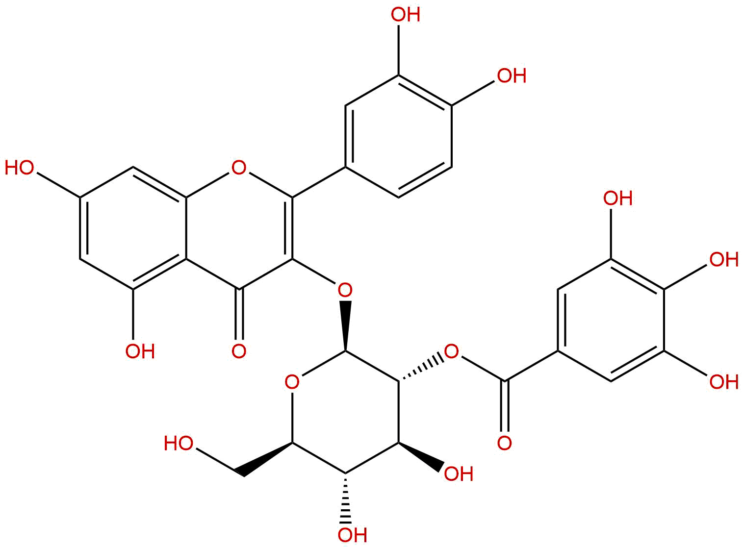 Quercetin-3-O-(2''-O-galloyl)-β-D-glucopyranoside