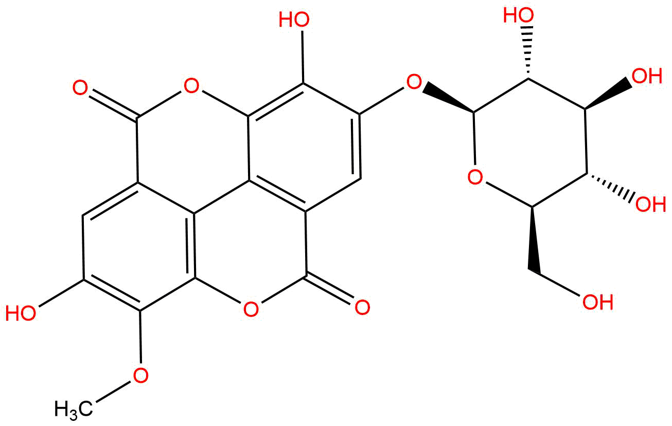 Stachyanthuside A